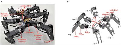 Hexapod leg sales design